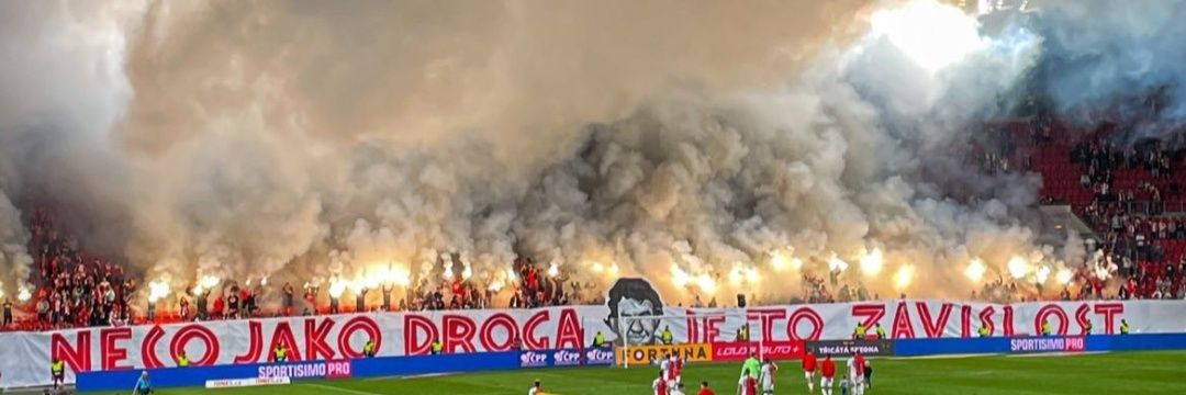 Daník banner