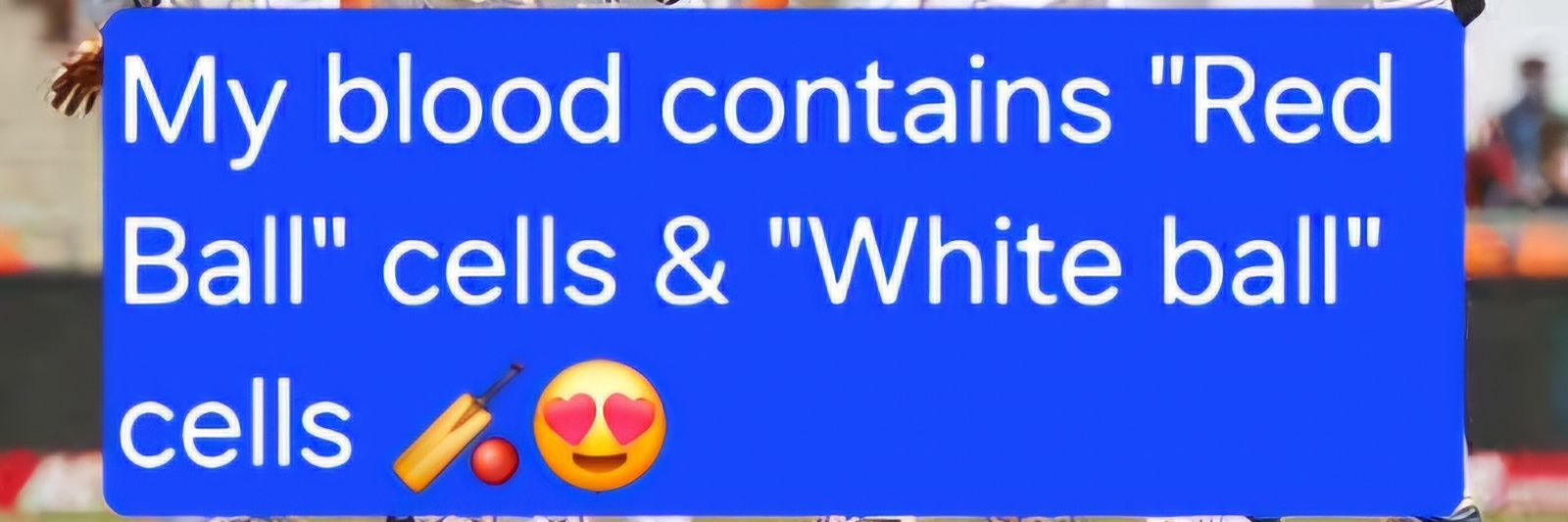 Iownmytrades🔆 banner