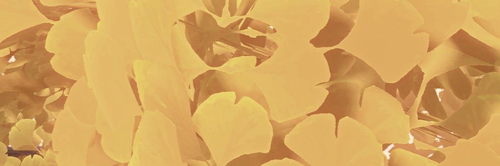 xxtxnno's profile banner image