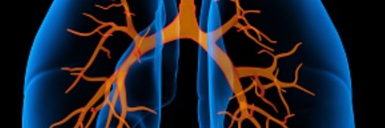 Ward 204 Respiratory Medicine / NHS Lothian banner