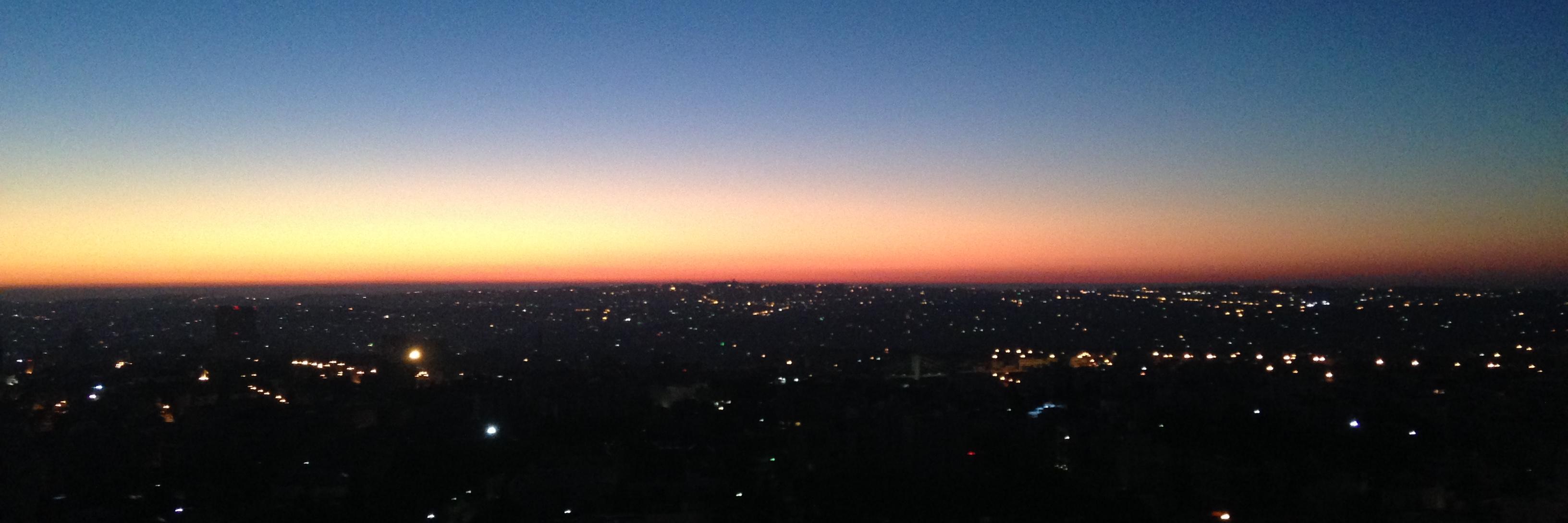 Elizabeth MacBride banner