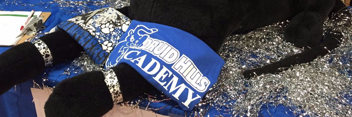 CMS_DHAPanthers banner