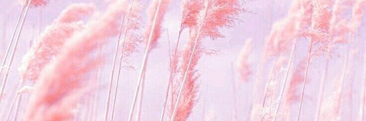 CandyDoo32's profile banner image