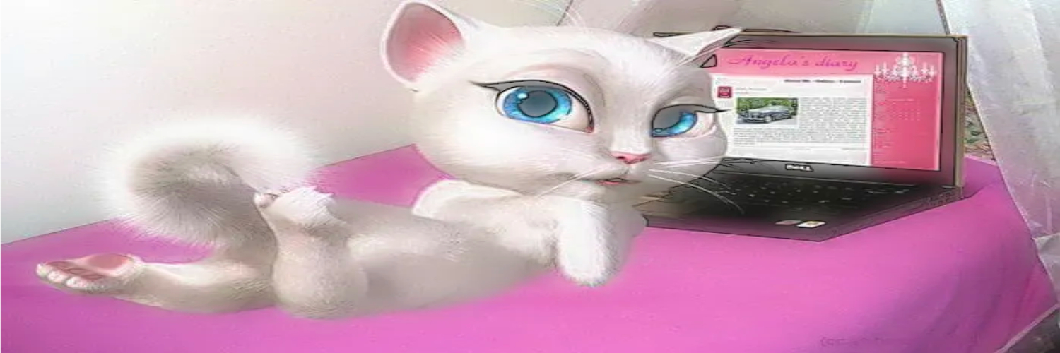 cocoa banner