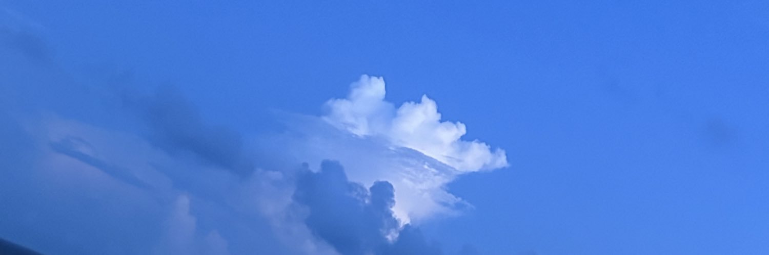 Grayden Lewis banner