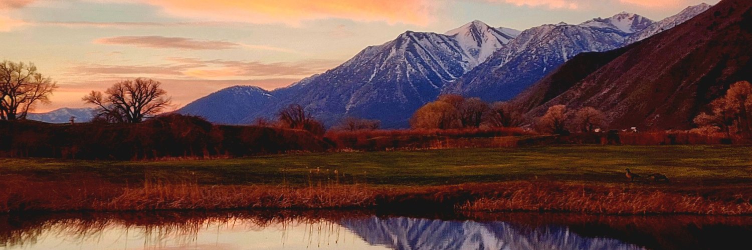 Visit Carson Valley banner