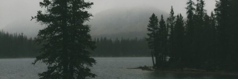 bren ✮'s banner
