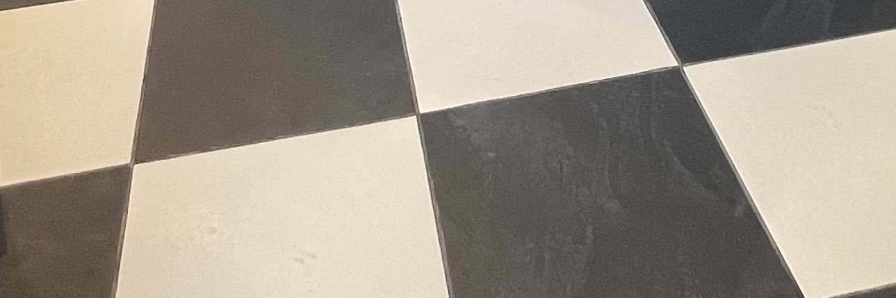 sara banner