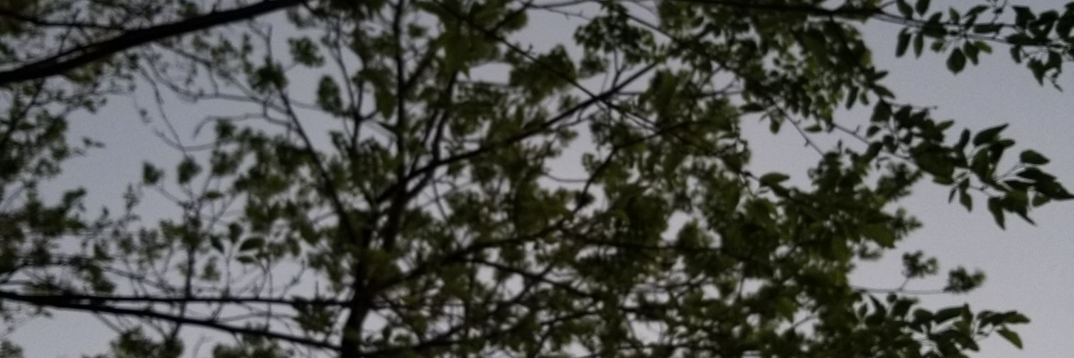 lostinclev19's profile banner image