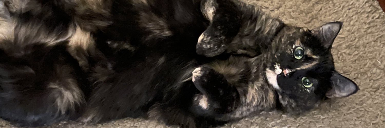 Make it make sense banner