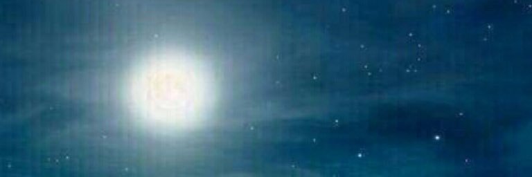 adel01993's profile banner image