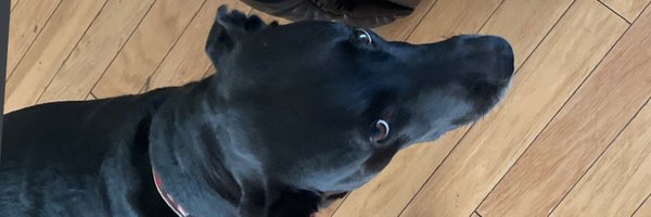 skrtskrtAD Profile Banner