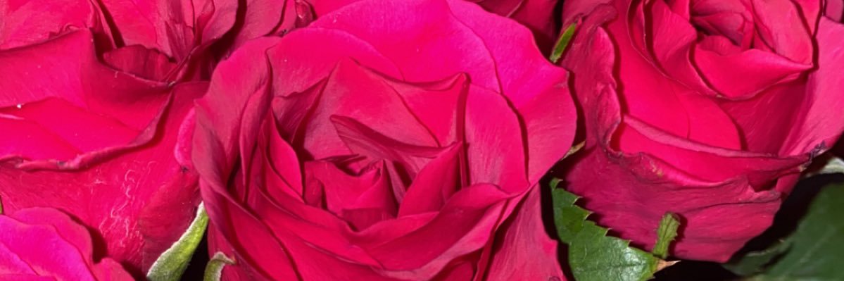Chloé Paton banner