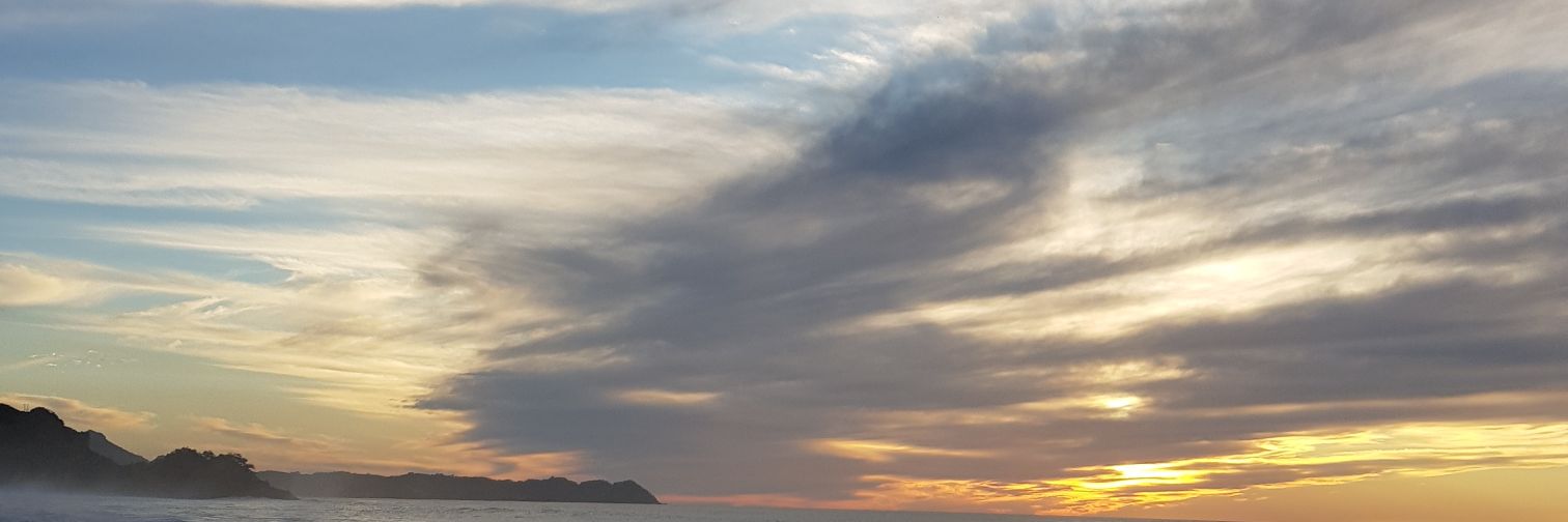 Monica Perla banner