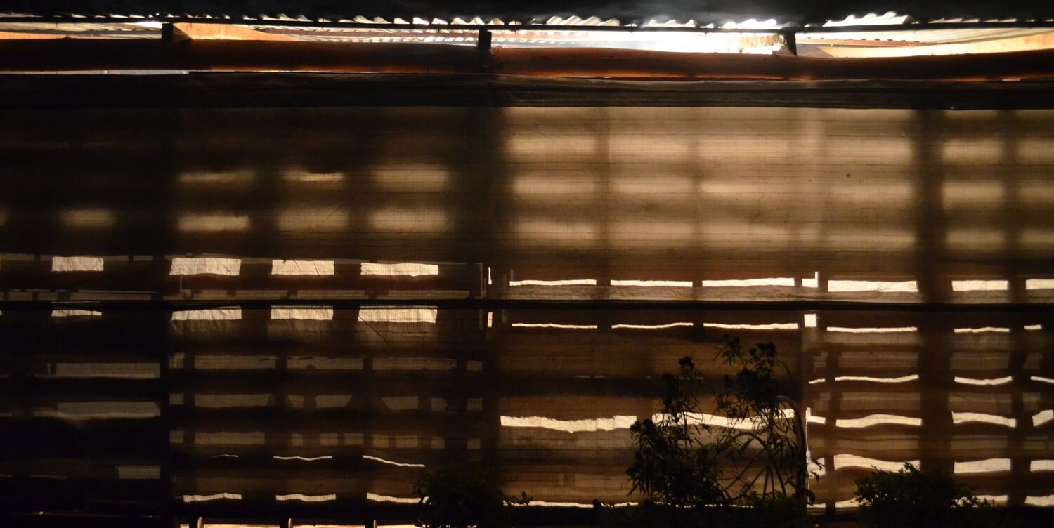 marcospointis's profile banner image