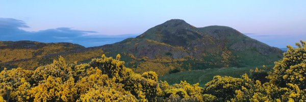 SteveWilsonNLP Profile Banner