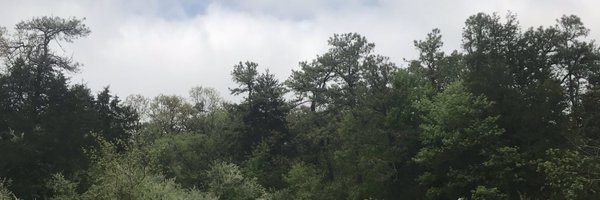 RainDropCoding Profile Banner