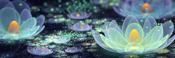 1_tiny_spark Profile Banner