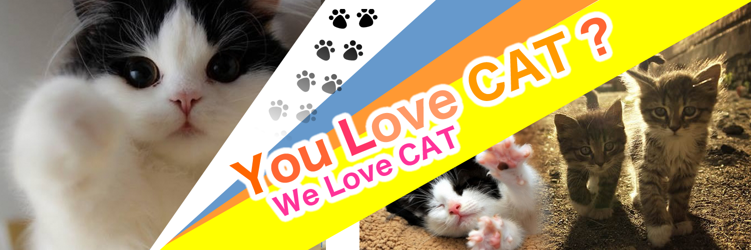 ごる猫 Σ(っ=ΦωΦ)っ banner