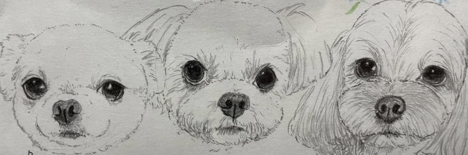 🐶🐶 banner