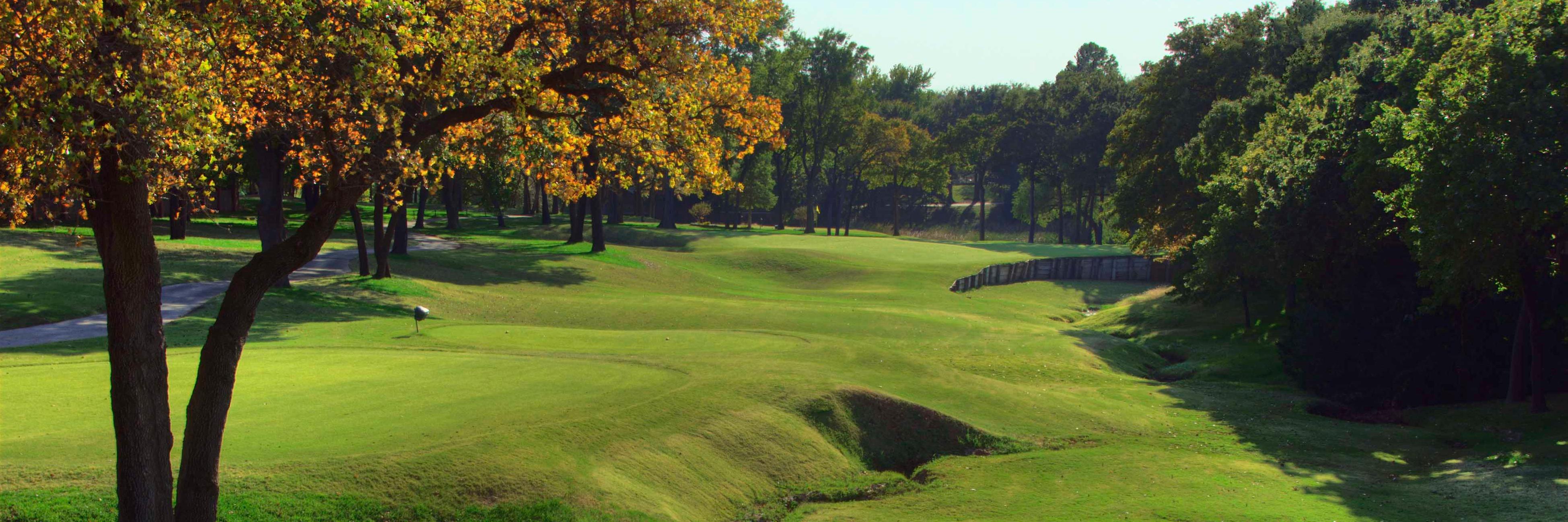 OakTree_CC's profile banner image