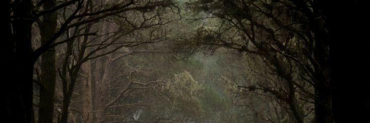 𝑘𝑒𝑦𝑑𝑒²⁴ : 🦋 banner