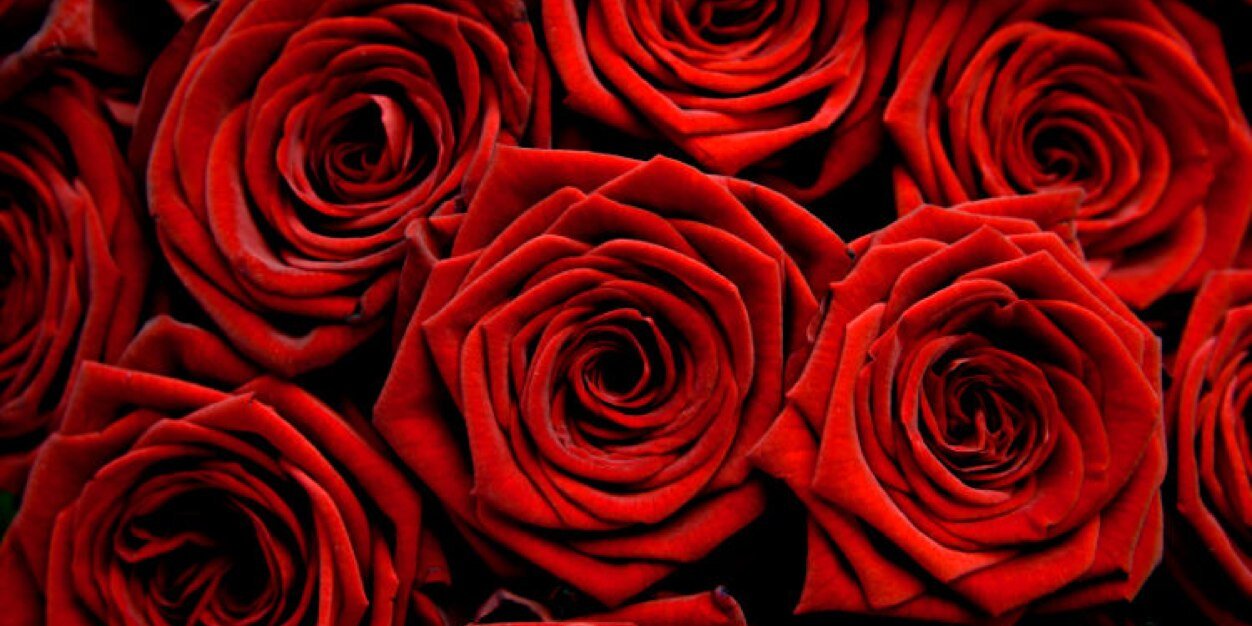 Catherine Jones Kung banner