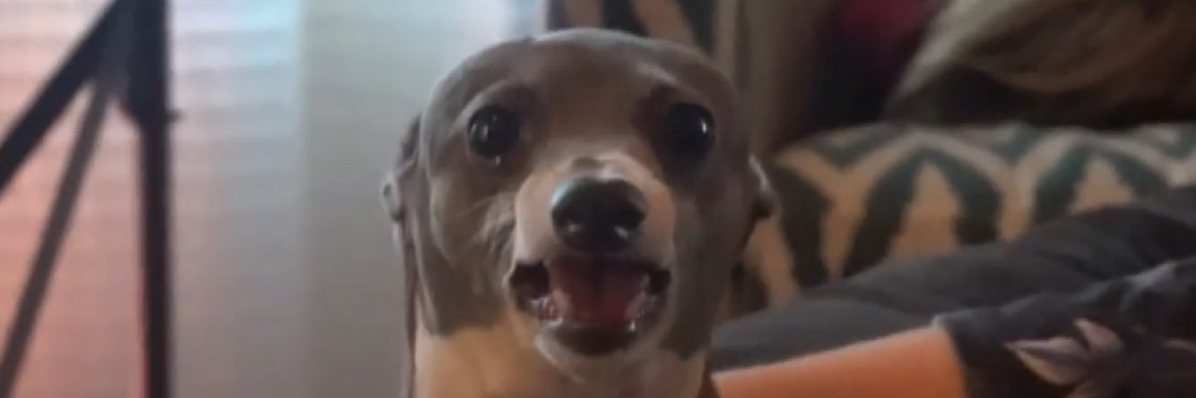 fullofentulho's profile banner image