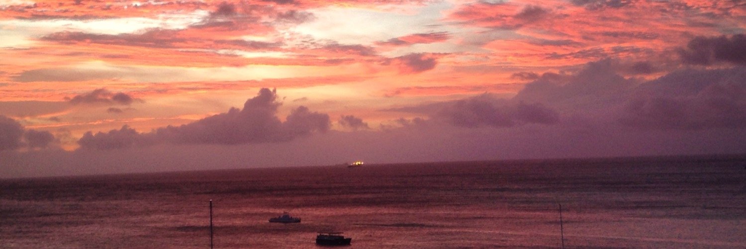 colleen_dowd's profile banner image