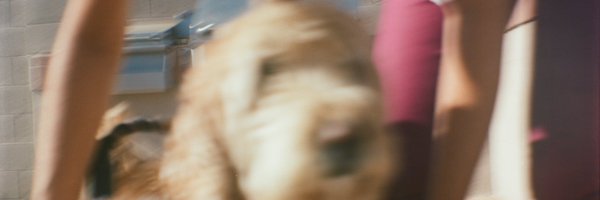 BrianLongFilms Profile Banner