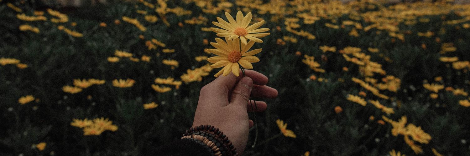 jerinvic_wp's profile banner image