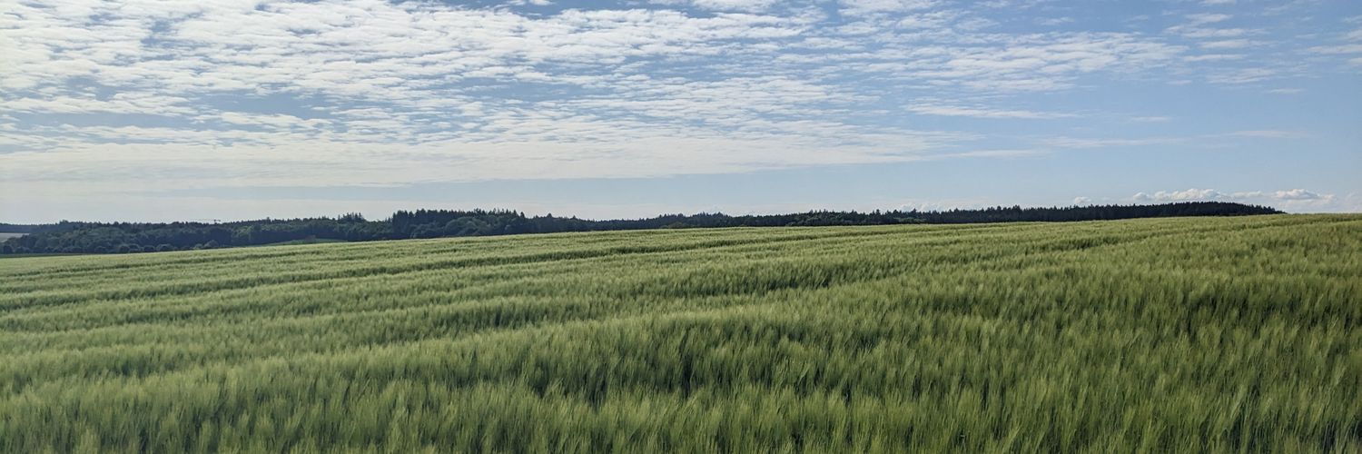 Ulschan Bathe banner