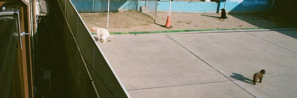 Yurayura_1818 Profile Banner