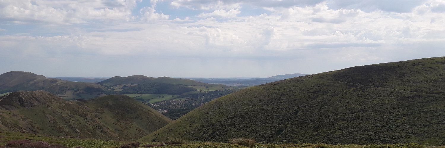 nmullenhist's profile banner image