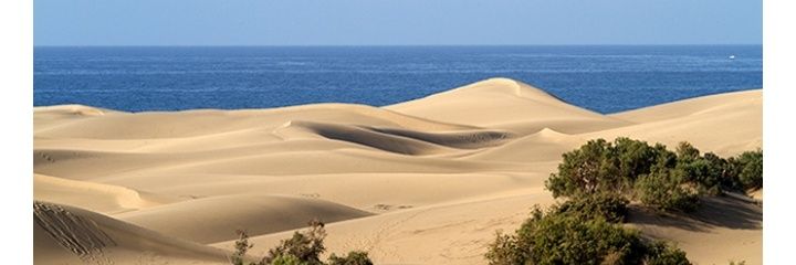 El Azote Canario 🇮🇨 banner