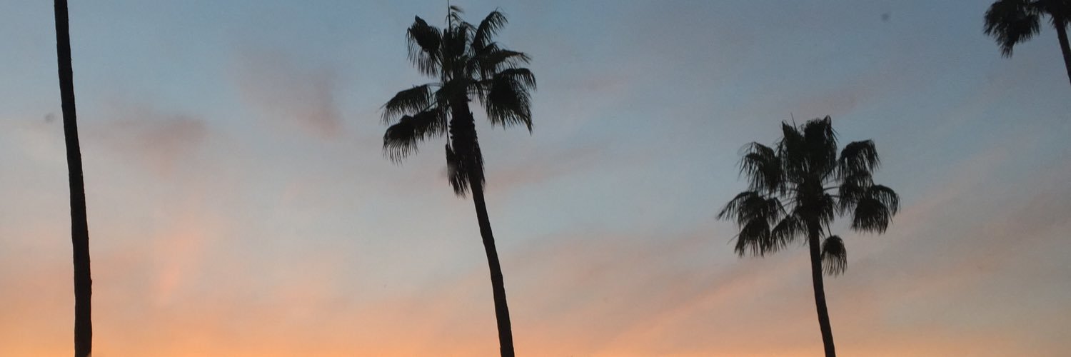 elauinc's profile banner image