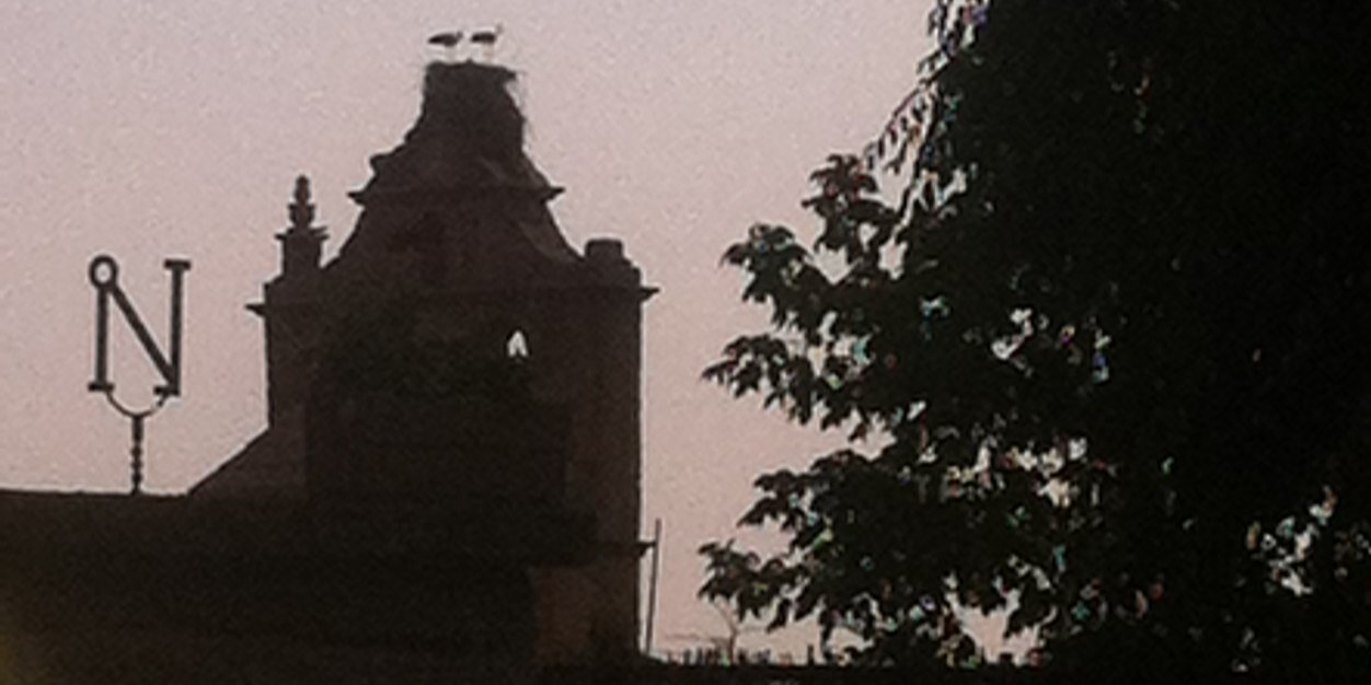 fraile_l's profile banner image