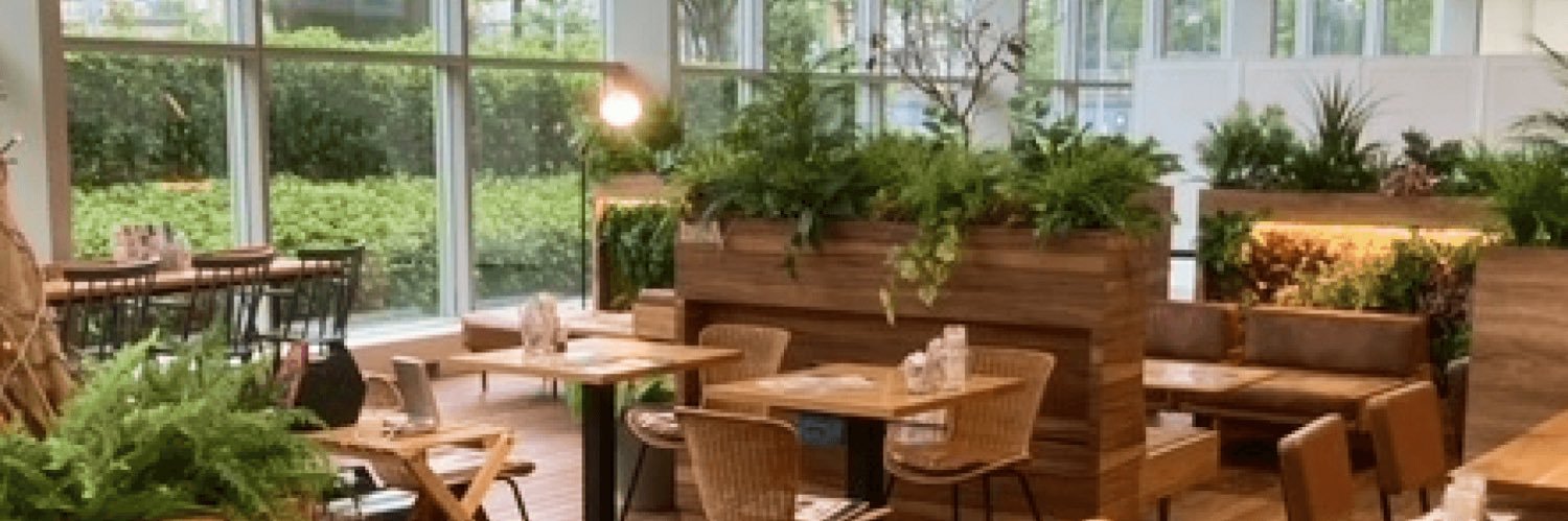 EX GARDEN CAFE／テレ朝カフェ banner