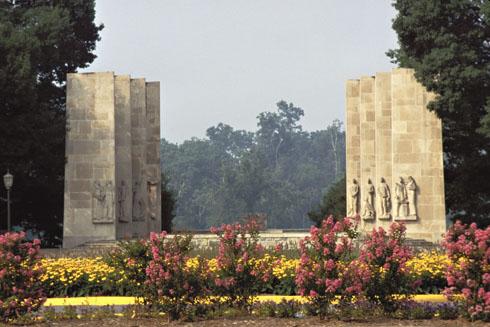 Elliotte Want banner