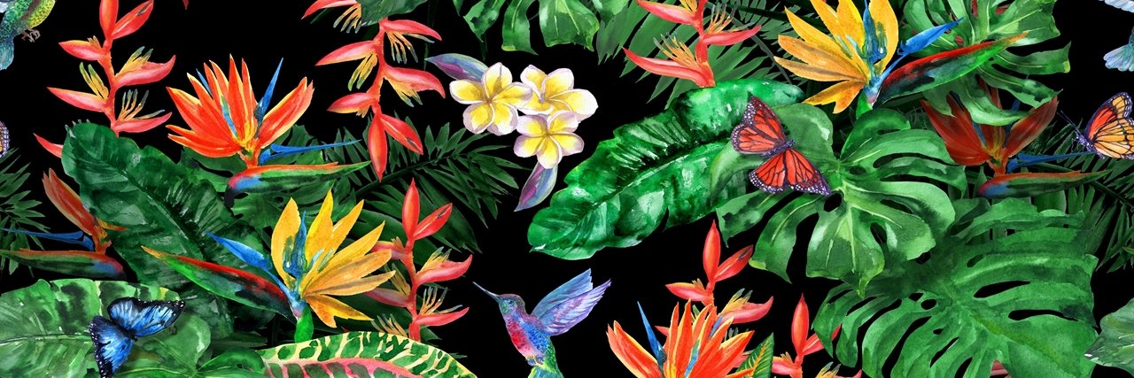 Climate Cocktail Club banner