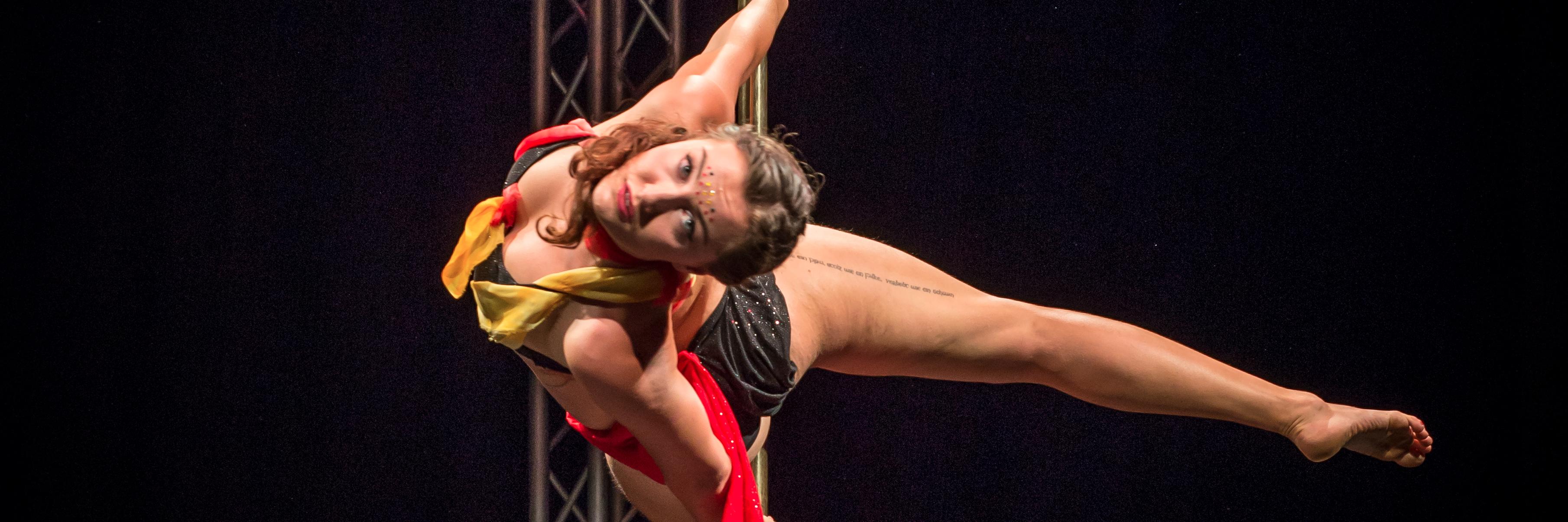 poleplaystudios's profile banner image