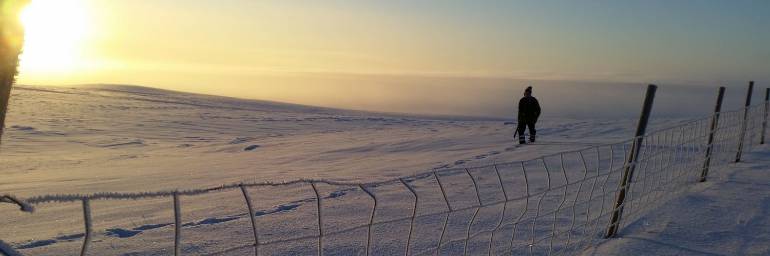 Snævar Örn Jónsson banner