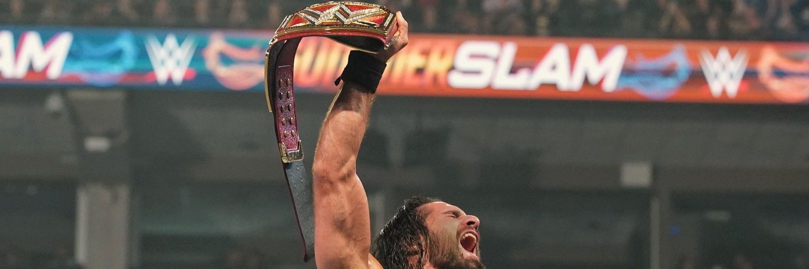 SSRDom's profile banner image