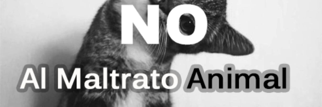 DefensorAnimals's profile banner image