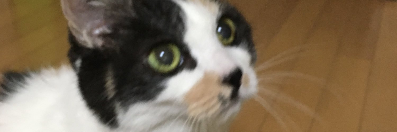 araran11's profile banner image