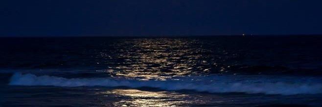1_uj1n's profile banner image