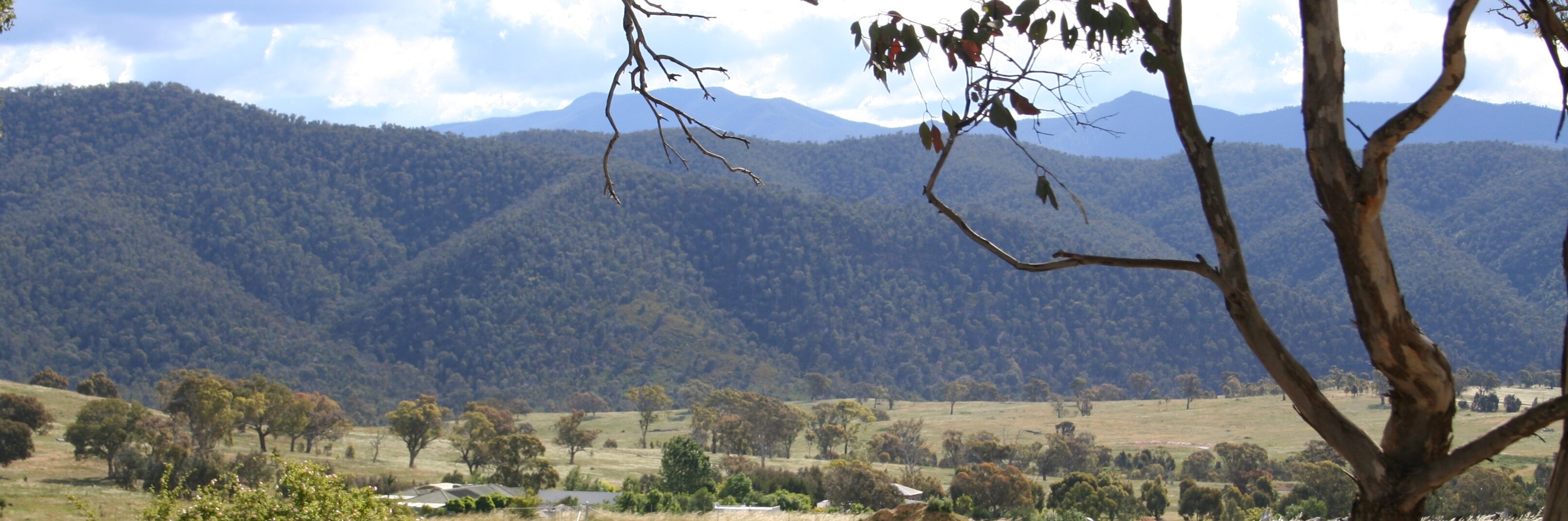 SnowyRiverHut's profile banner image