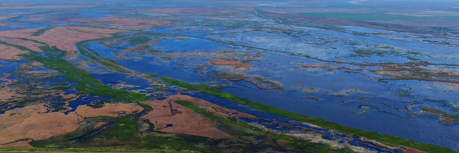 Rewilding Ukraine banner