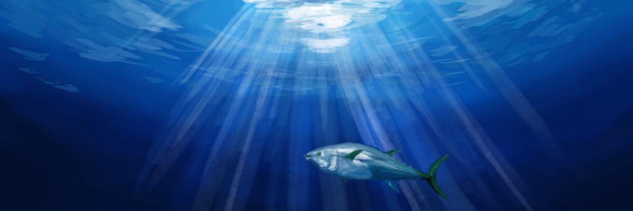 LightHouseMDM banner