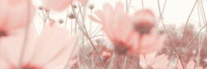 fenoguez's profile banner image